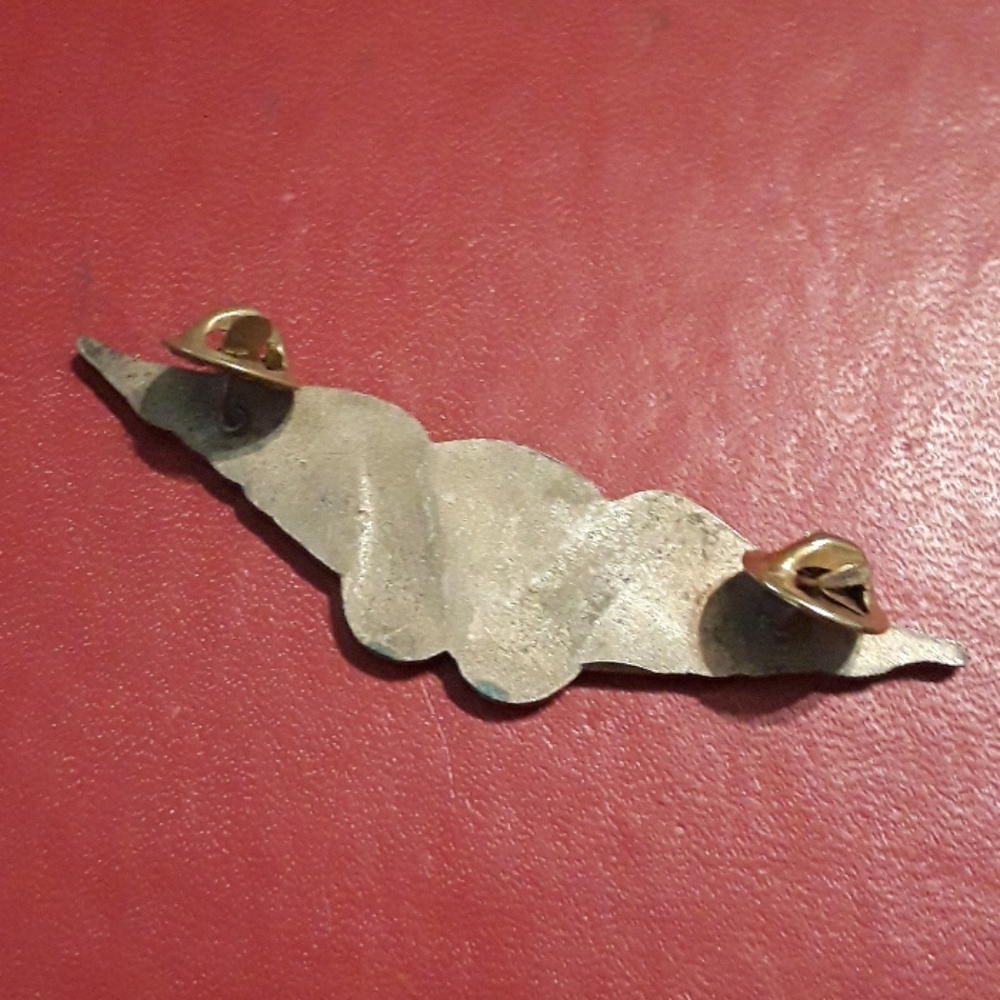 pin